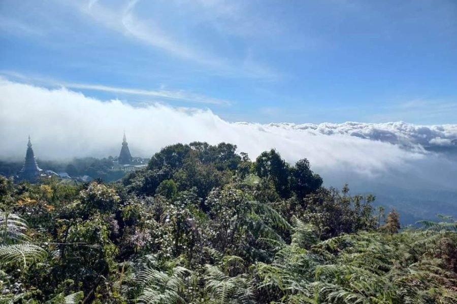 Doi Inthanon