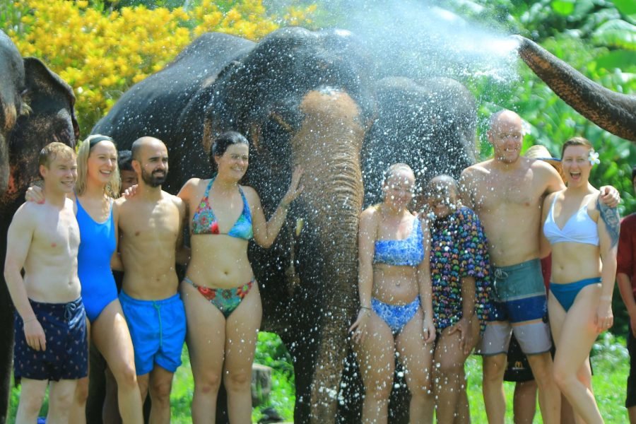 Elephant Sanctuary