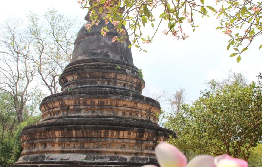 Customize Your Own Chiang Mai Tour