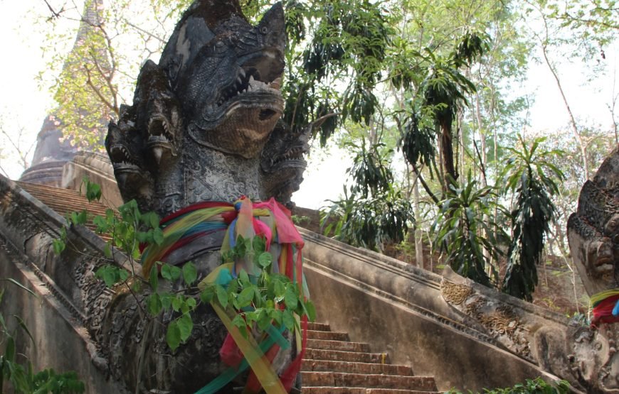 Customize Your Own Chiang Mai Tour