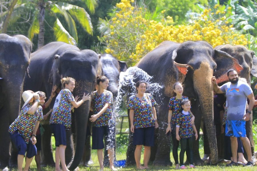 Elephant Sanctuary